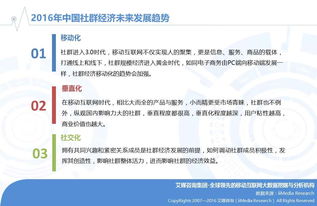艾媒报告解读 2016年中国网络社群经济发展洞察