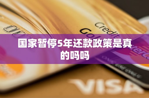 国家暂停5年还款政策是真的吗？探究网络信息传播与咨询服务